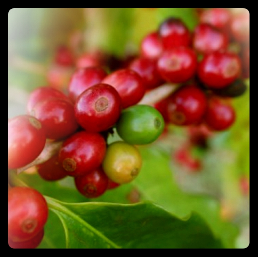 Meet your Posher, D.